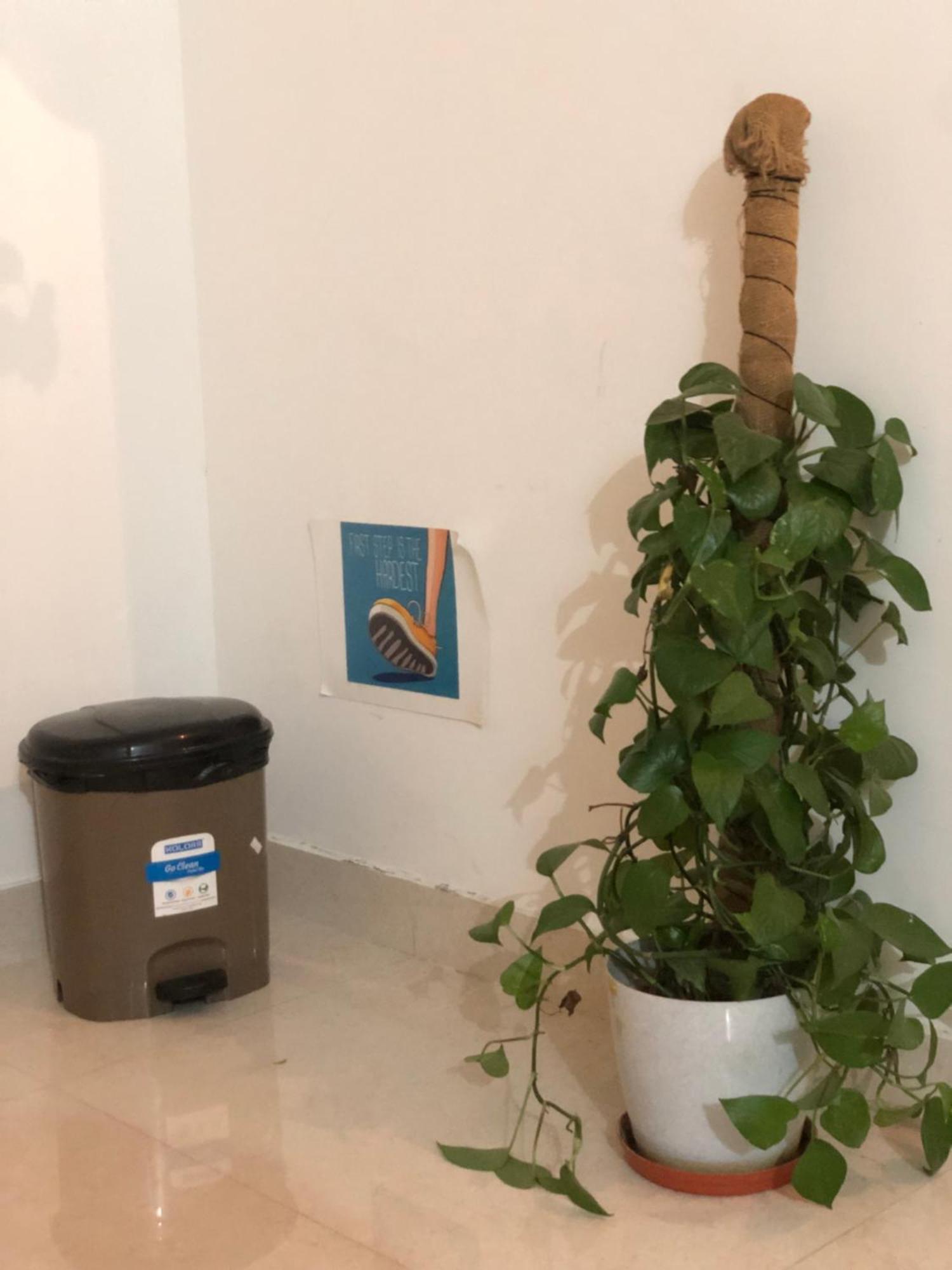 Sapthagiri Nest Apartment Chikmagalur Ngoại thất bức ảnh